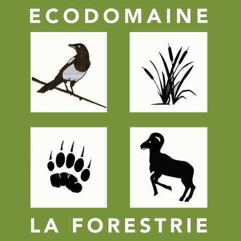 Ecodomaine La Forestrie